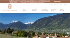 Desktop Screenshot of hotel-burggraeflerhof.com